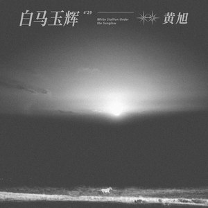 欧美日韩变态阴环xxxxx
